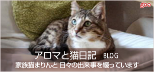 アロマと猫日記:家族猫まりんと 日々の出来事を綴っています